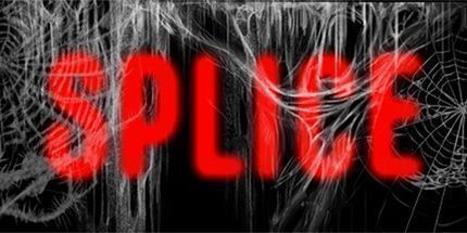 御三家Game-永久接头