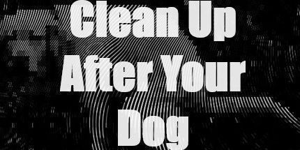 御三家Game-清理你的狗后