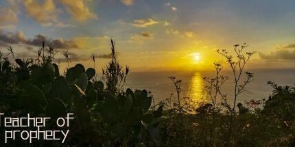 御三家Game-预言老师