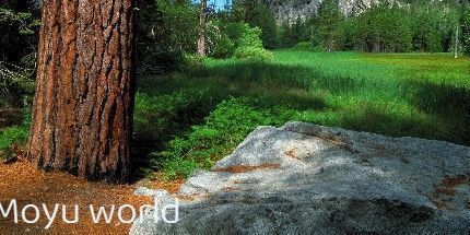 御三家Game-墨玉世界