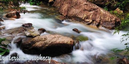 御三家Game-神秘的预言