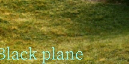 御三家Game-黑色平面