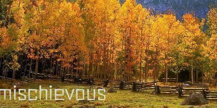 御三家Game-淘气