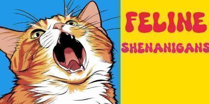 御三家Game-猫科动物的恶鬼