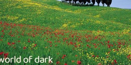 御三家Game-黑暗的世界