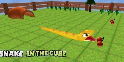 御三家Game-立方体中的蛇