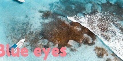 御三家Game-蓝眼睛