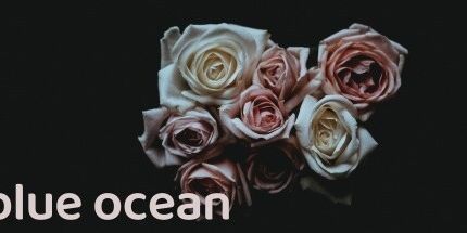 御三家Game-蓝色的海洋