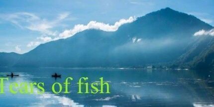 御三家Game-鱼的眼泪