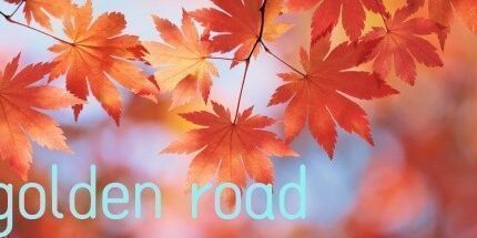 御三家Game-undefined