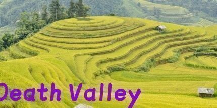 御三家Game-死亡谷