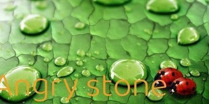 御三家Game-愤怒的石头