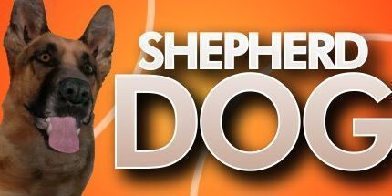 御三家Game-狗俱乐部