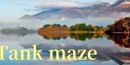 御三家Game-坦克迷宫