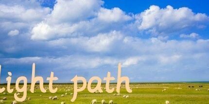 御三家Game-光路