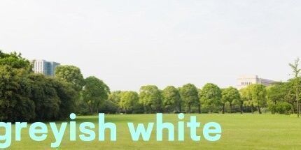 御三家Game-灰白色