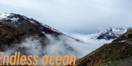 御三家Game-无尽的海洋