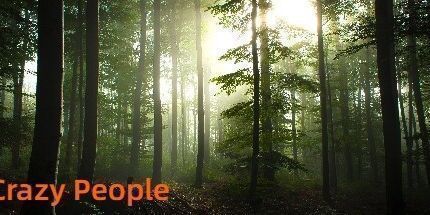 御三家Game-疯狂的人