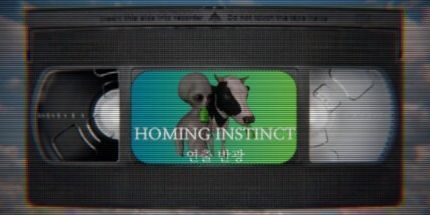 御三家Game-归巢本能