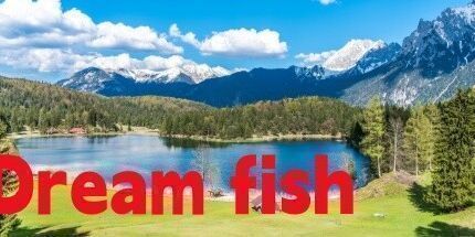 御三家Game-梦幻鱼