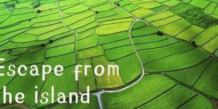 御三家Game-逃离岛屿