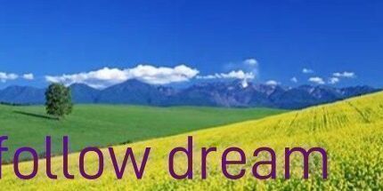 御三家Game-追随梦想