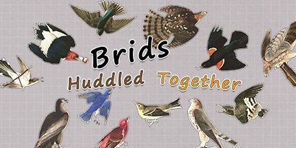 御三家Game-新娘挤在一起