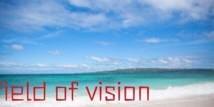 御三家Game-视野