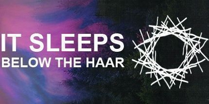 御三家Game-它睡在哈尔下面