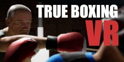 御三家Game-真正的拳击VR