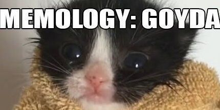 御三家Game-MEMOLOGY:GOYDA