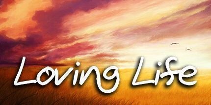 御三家Game-爱生活