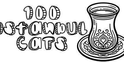 御三家Game-100伊斯坦布尔猫