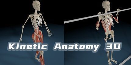 御三家Game-动力学解剖3D