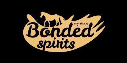 御三家Game-我的马: 保税的精神