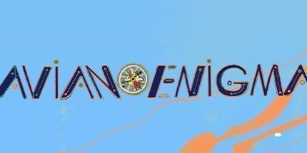 御三家Game-鸟之谜