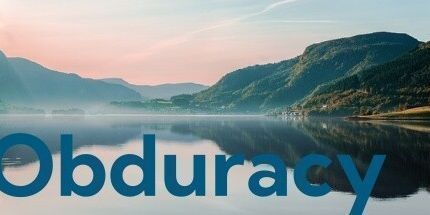 御三家Game-顽固