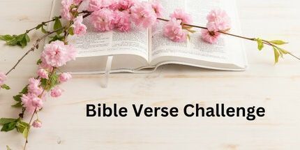 御三家Game-圣经经文挑战