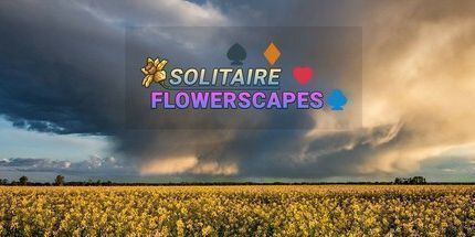 御三家Game-接龙花景