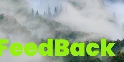 御三家Game-反馈