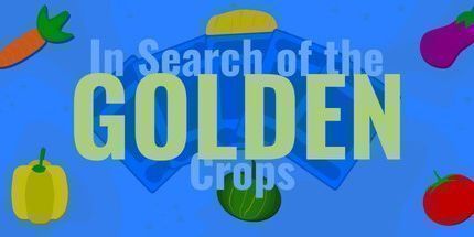 御三家Game-寻找金色的庄稼