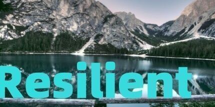 御三家Game-弹性