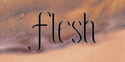 御三家Game-肉体 (经典)