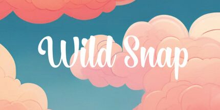 御三家Game-野生捕捉