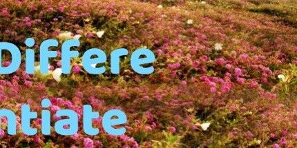 御三家Game-区分