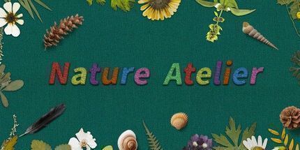 御三家Game-自然工作室