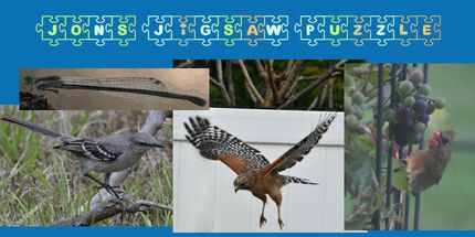 御三家Game-乔恩的拼图游戏