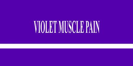 御三家Game-紫罗兰肌肉疼痛