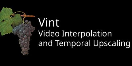 御三家Game-Vint: 视频时域放大和插值