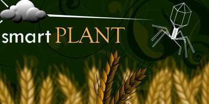 御三家Game-smartPLANT